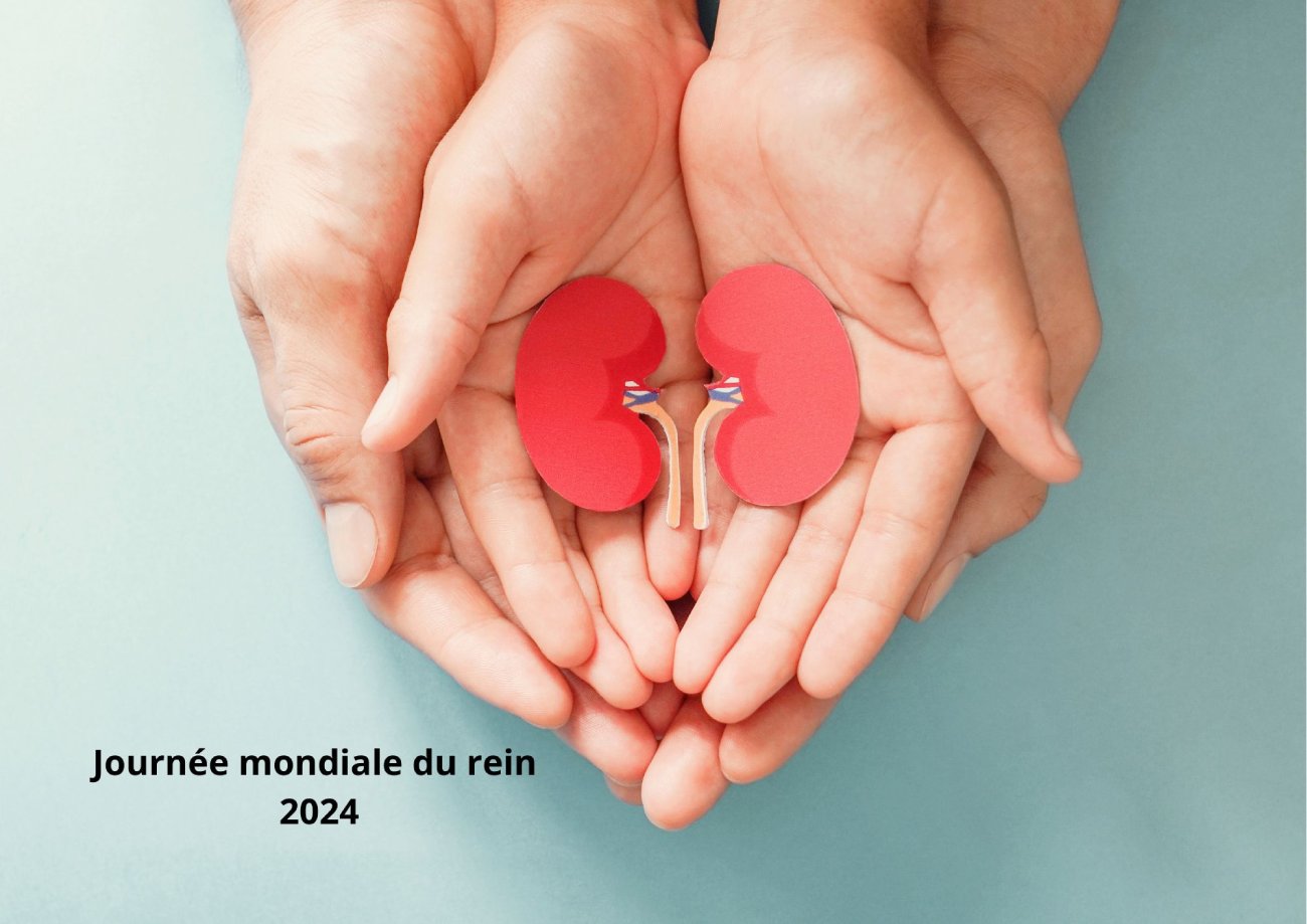 Journée du rein 2024